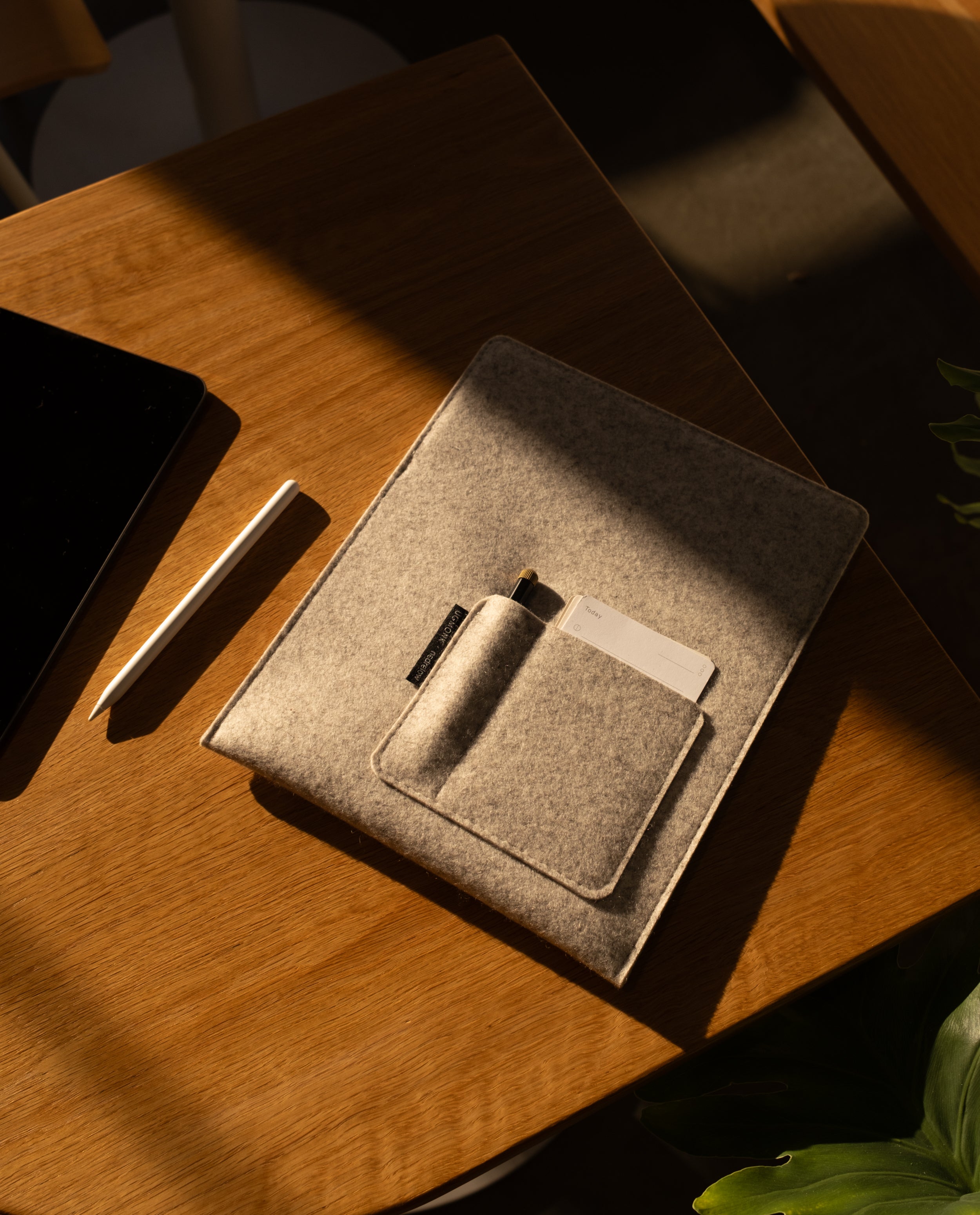 Magnetic Tablet Sleeve (Nedrelow x Ugmonk)