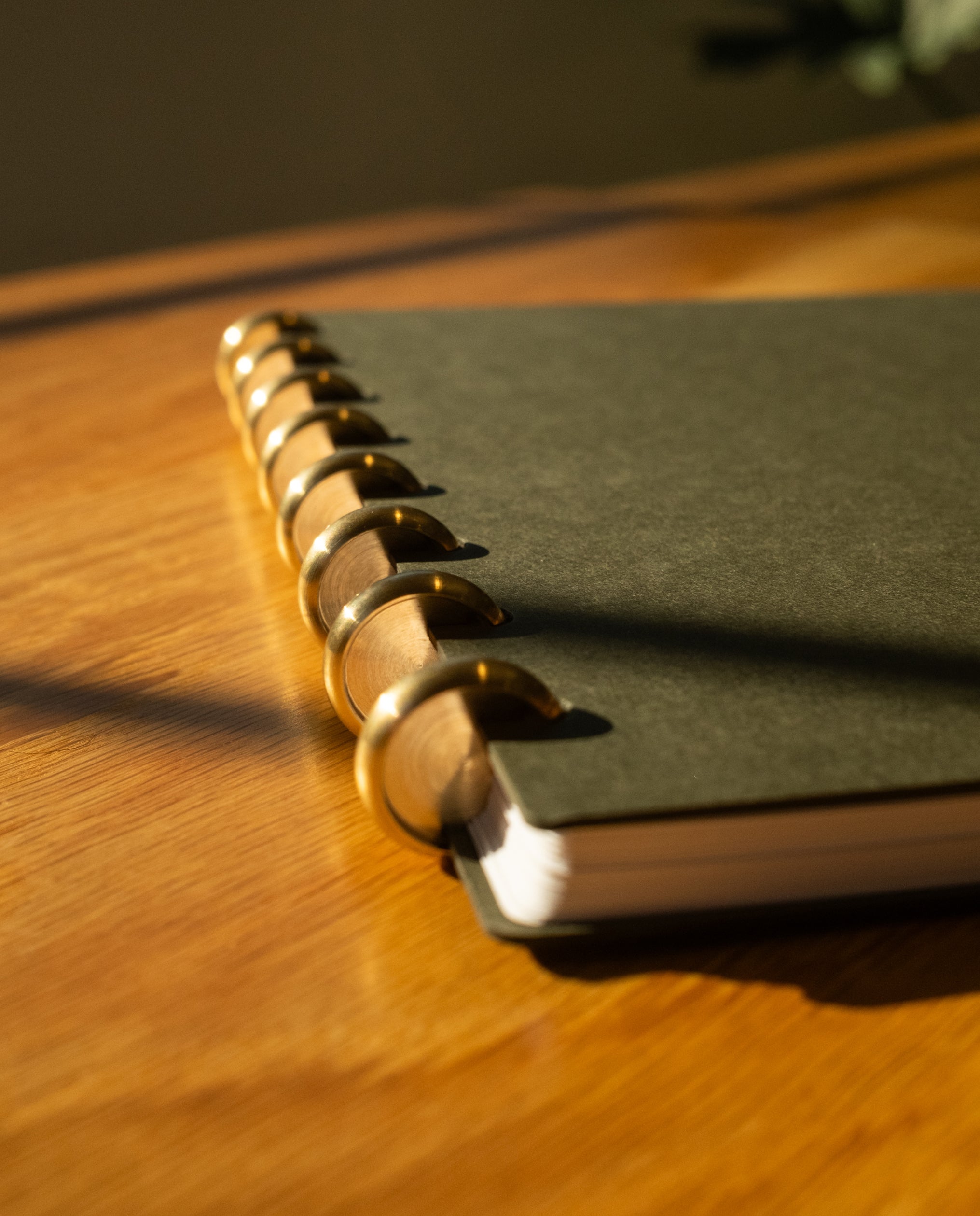 Discbound Journal